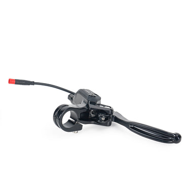 DOT Brake Levers for Daytona